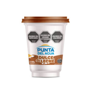 DULCE DE LECHE X 400 PUNTA DEL AGUA