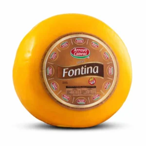 FONTINA ARROYO CABRAL
