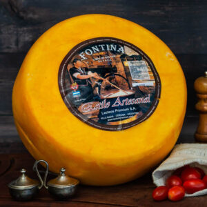 FONTINA PREMIUM